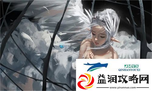 九幺黄9·1安装指南：全面解析安装过程中的注意事项与技巧