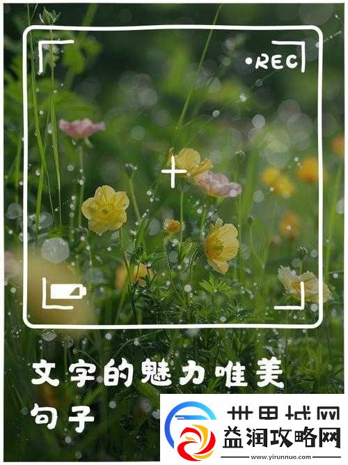 最好好看的中文字幕：带你领略文字的魅力与艺术