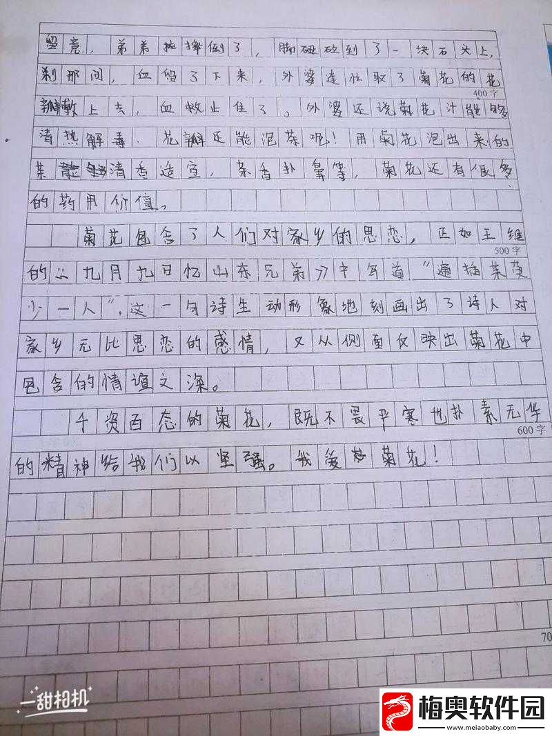 六年级菊花能塞下几支笔：探秘菊花的神奇容量