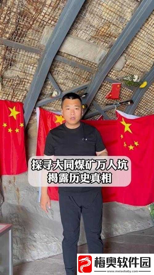YW193换哪个域名了：探寻真相