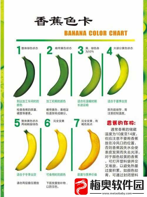 香蕉十八度和二十三度的区别：温度影响面面观
