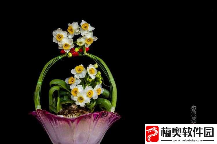 水仙直播：带你领略别样的艺术世界