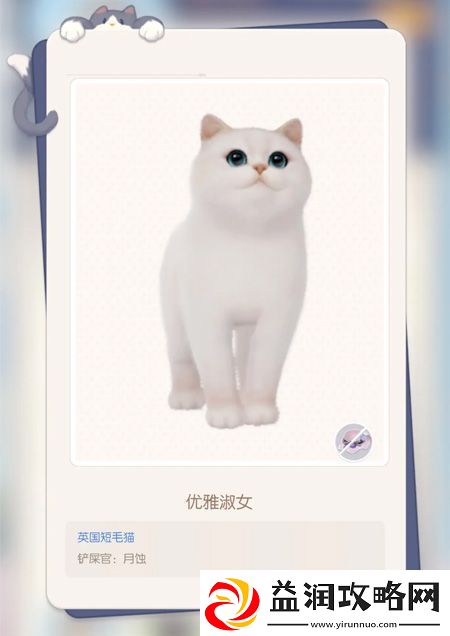 原创超喵星计划的一些实用小技巧