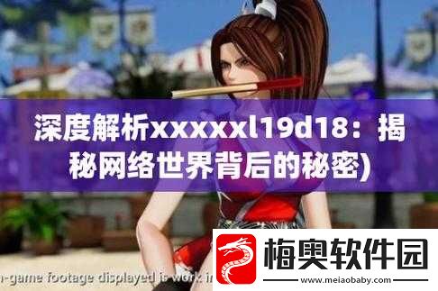 XXXXXL19D18-使用评测：详细解读与分析