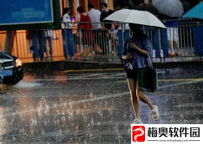 JUL532-外勤突然下大雨：雨中的挑战