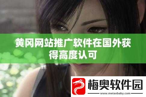 国外十大黄冈推广：优质教育资源的海外传播