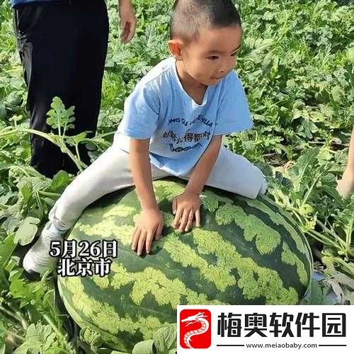 51cg-今日吃瓜：加州女博士热门大瓜揭秘