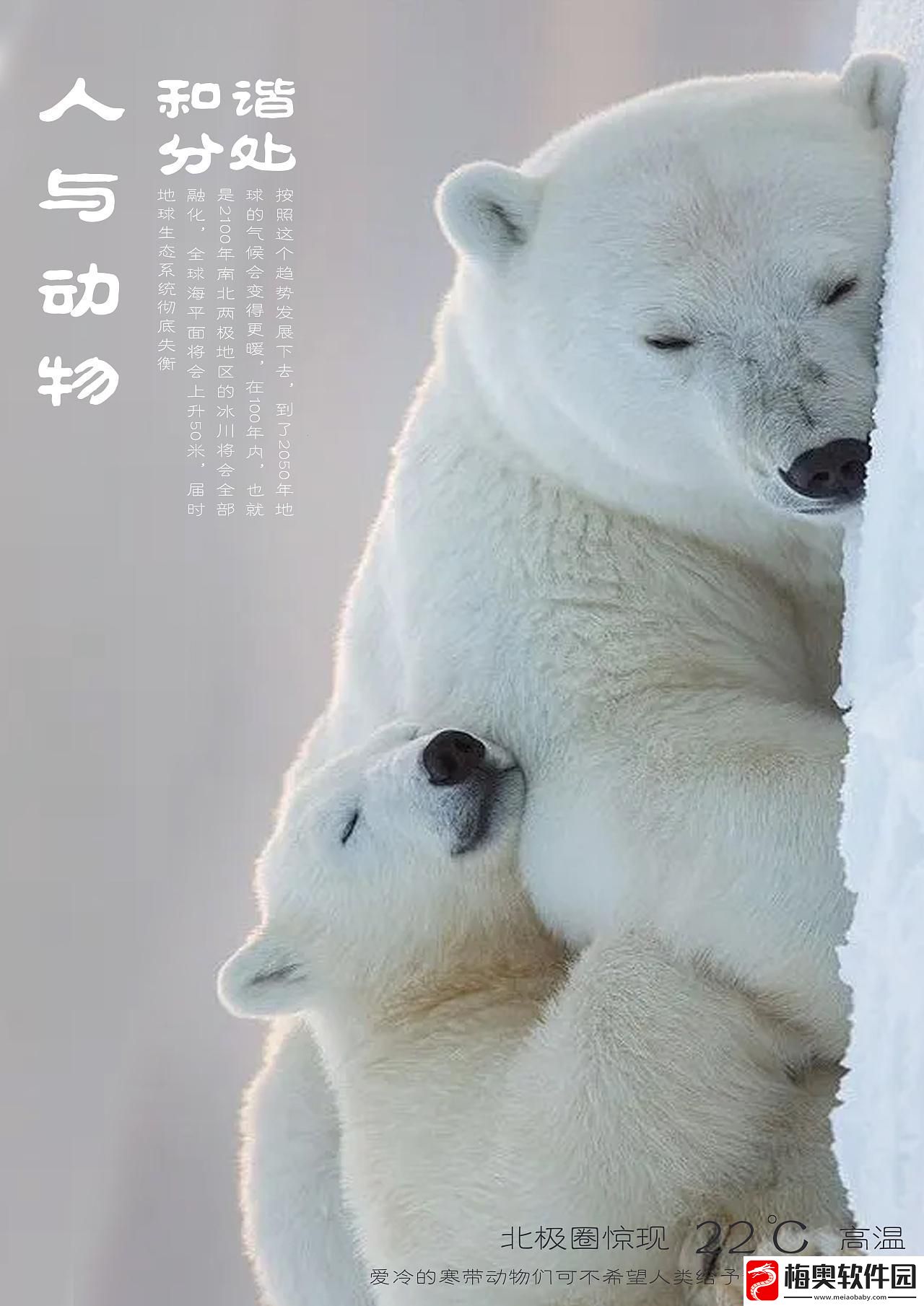 喵星人与人类：共性揭秘网友直呼这谁顶得住！