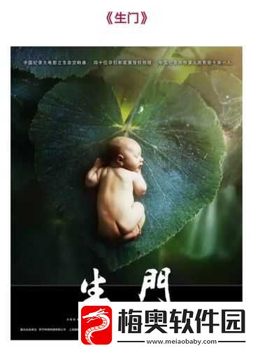 经天纪生门修炼秘籍：深度解析生门修炼加点的策略与方法