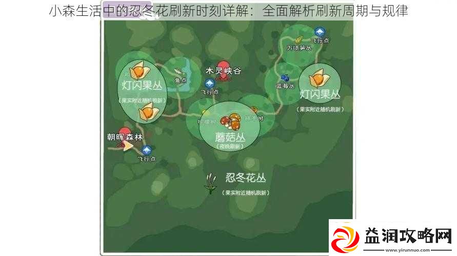 小森生活中的忍冬花刷新时刻详解：全面解析刷新周期与规律