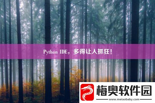 Python-IDE-多得让人抓狂！