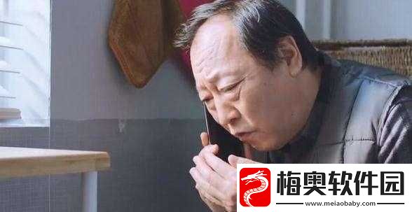 苏大强林玥