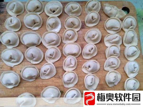 授课方式肉馅小水饺晋骨-1.-手把手教你制作美味肉馅小水饺