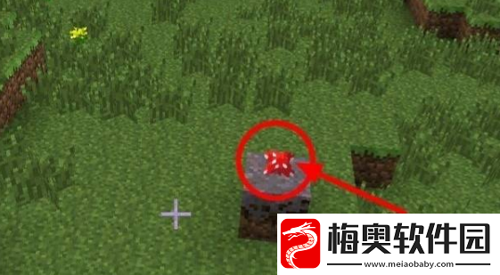 我的世界怎么种蘑菇