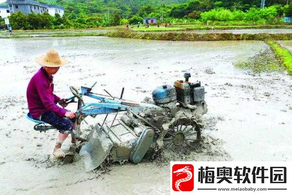 儿子耕种母亲的田：尽孝还是另有隐情