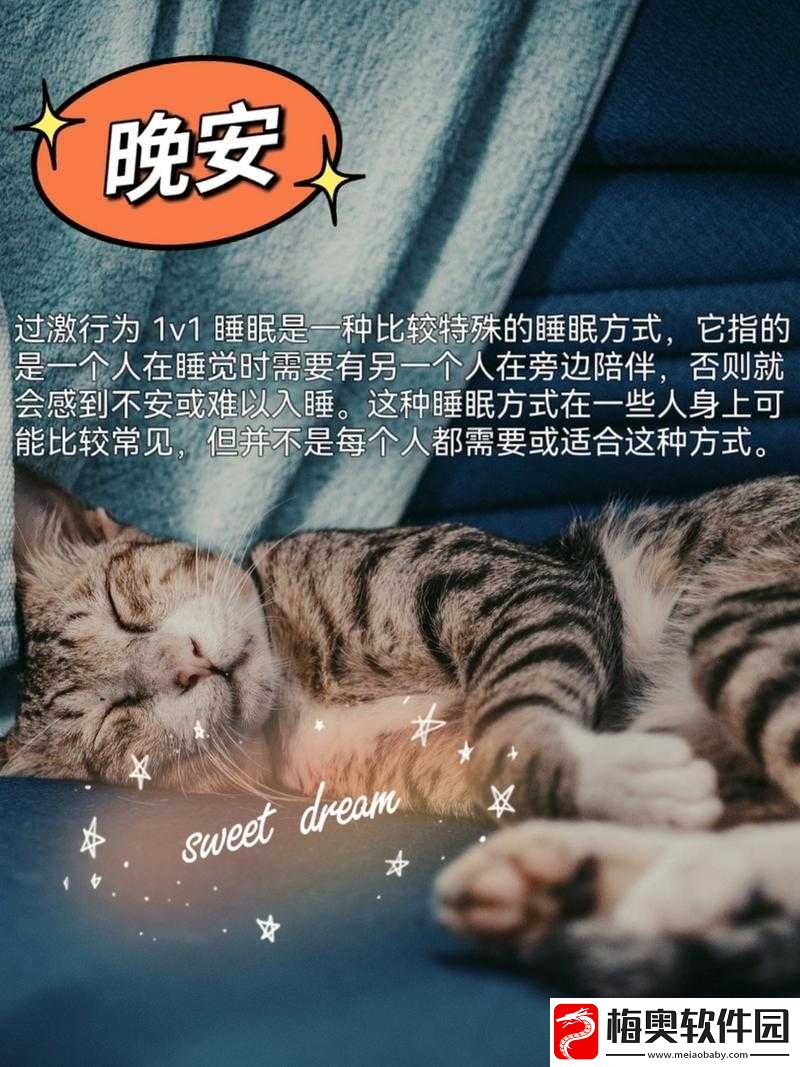 过激行为-1v1-睡眠对我很重要吗：探究其影响