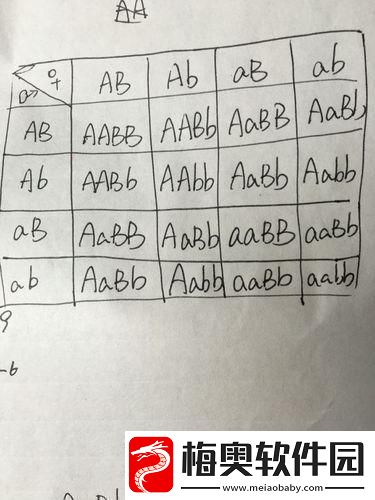 AABB与AAAA的差异：科技界的“辣条”大比拼